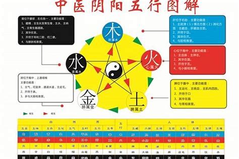 2024年生肖五行|2024年生肖五行纳音 2024年出生五行属性